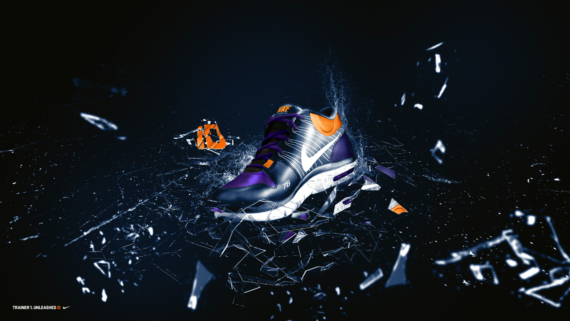 Trainer_1iD_colored_large